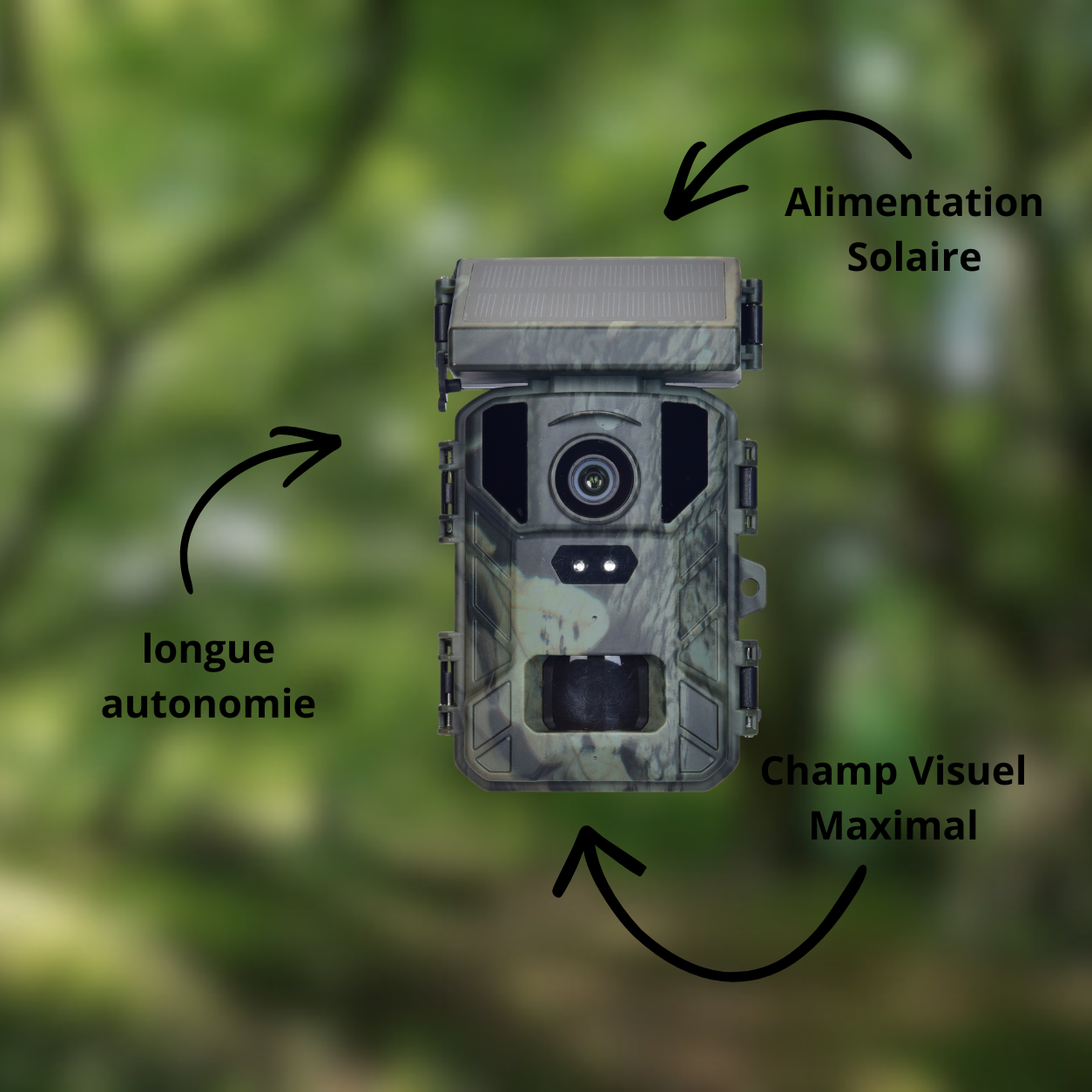 Caméra de Chasse Solaire 4K