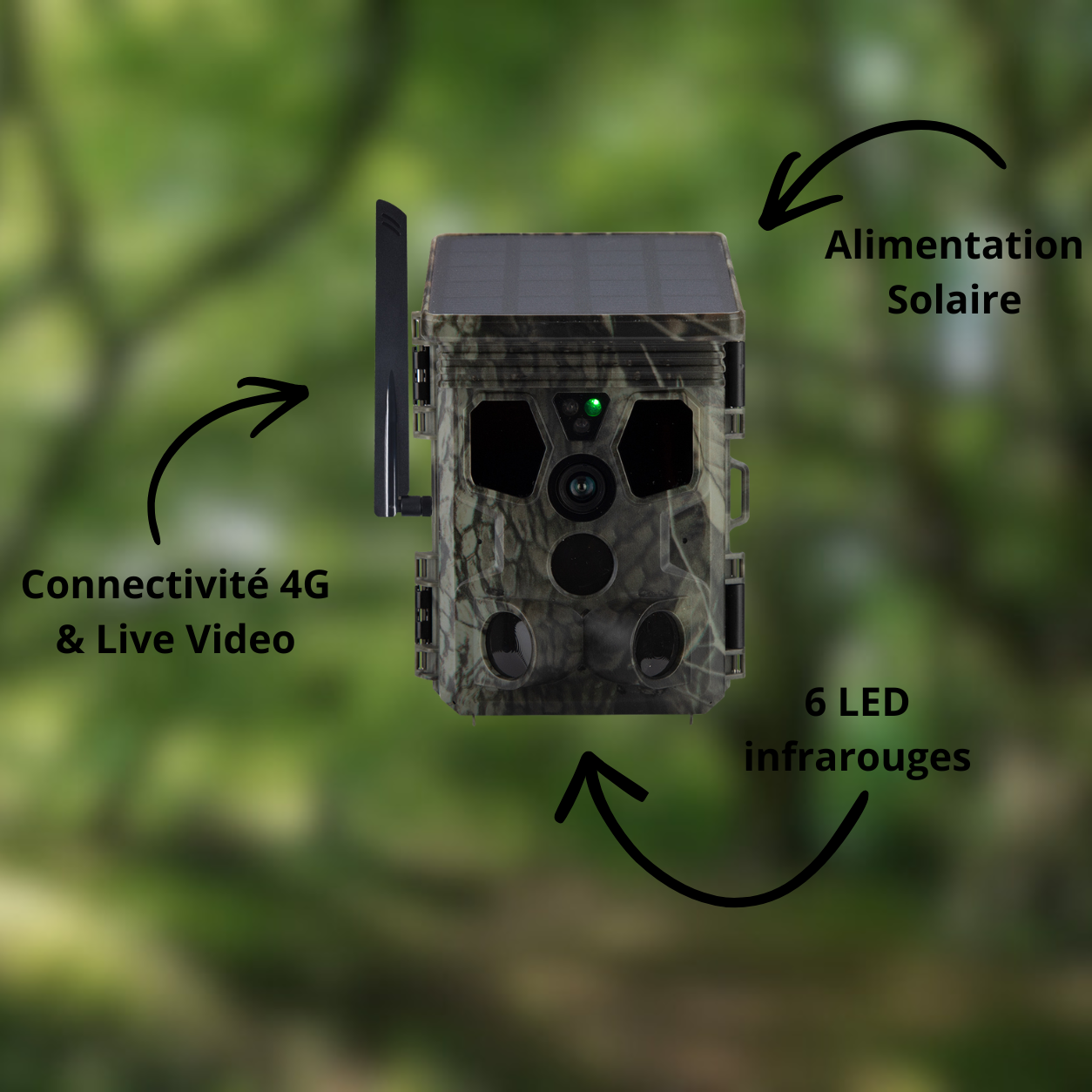 Caméra de Chasse Solaire  – 4G et Haute Résolution